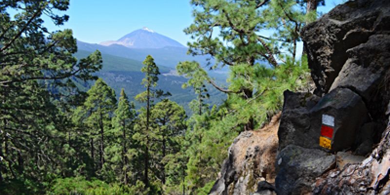 La Orotava Valley